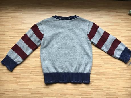 Dinosaurus / dracik svetrik, reserved,80