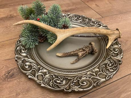 Parôžky - parožie, 