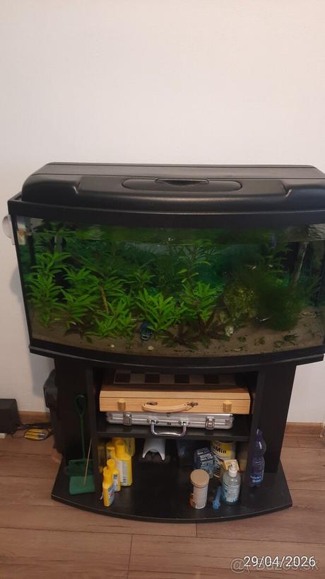 Akvárium s filtráciou v dobrom stave, 