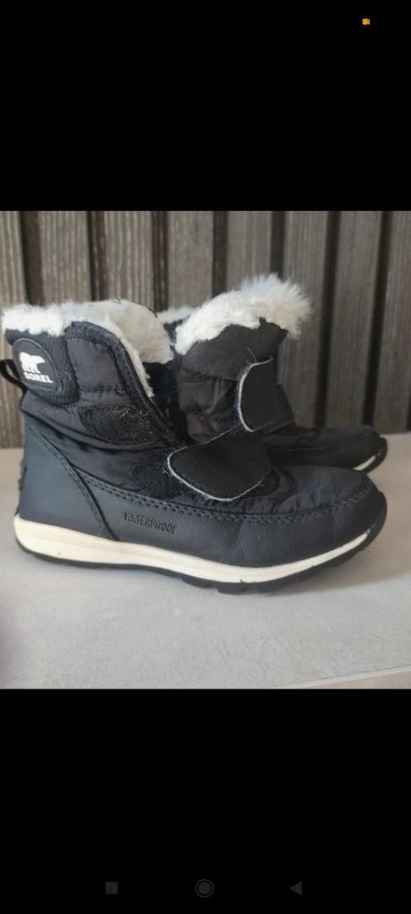 Snehule sorel, sorel,28
