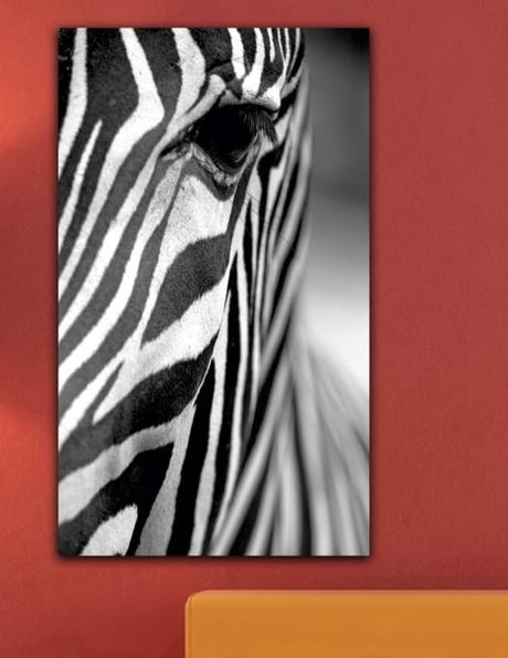 Obraz black&white zebra 41x70cm, 