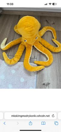 Plyšová chobotnica, 