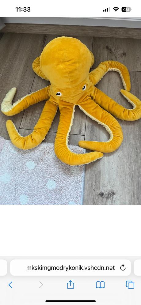 Plyšová chobotnica, 