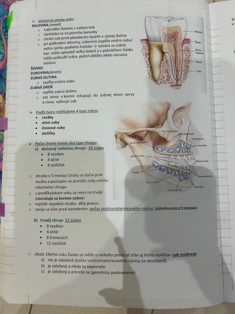 Biológia- osemročné gymnázium,