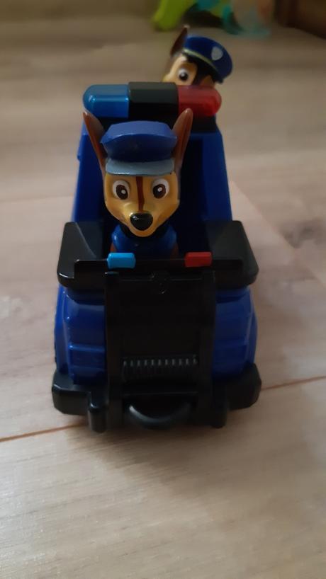 Labkova  patrola auto, 