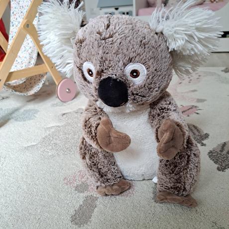 Koala, 