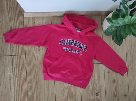 Mikina cambridge, 110