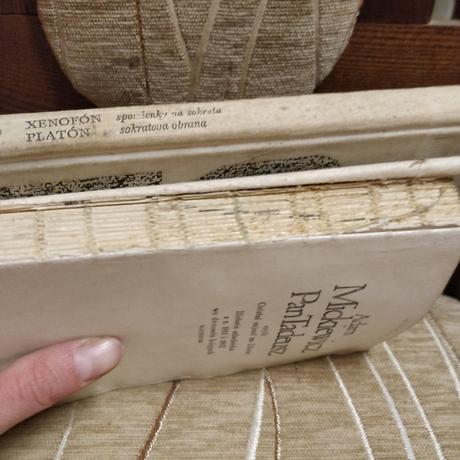 Starsie knihy, nalezovy stav, 