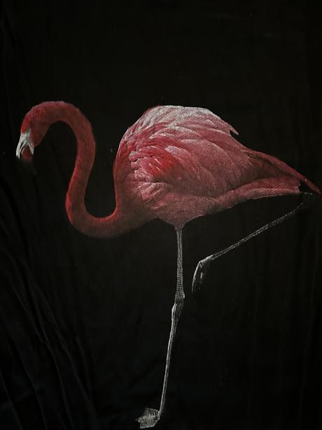 Košeľa s plameniakom, m