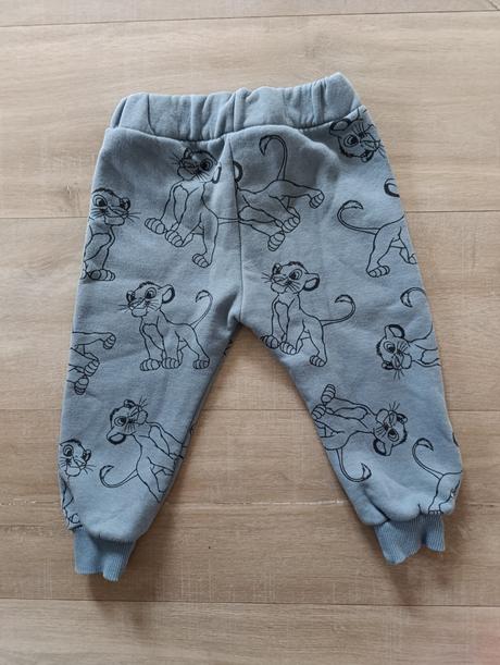 Súprava leví kráľ, 92