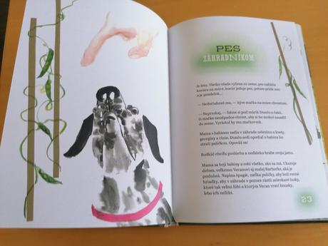 Kniha pre školákov,