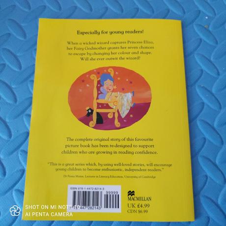 The princess and the wizard,