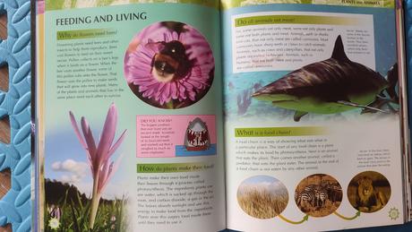 Encyclopedia of knowledge, 