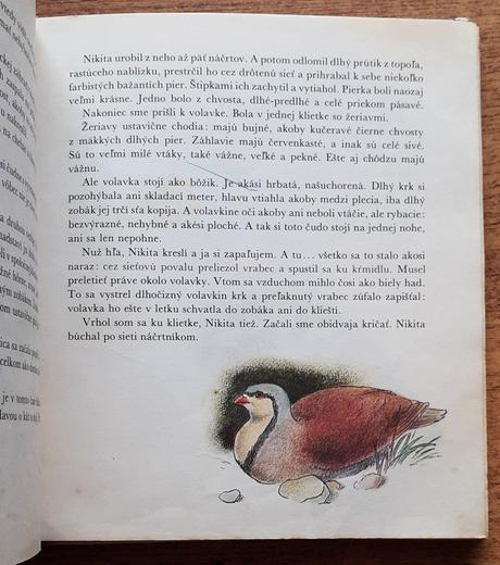 Hlúpe opičky, klub mladých čitateľov, j. čarušin,,