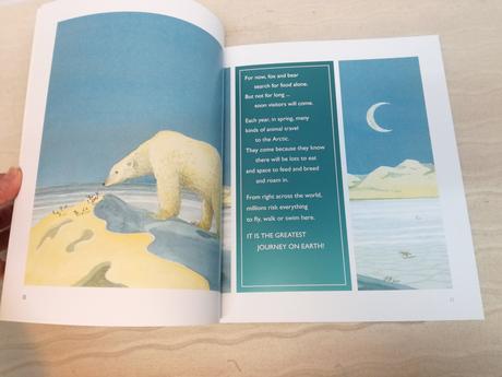 Nick dowson north  nsp21, 