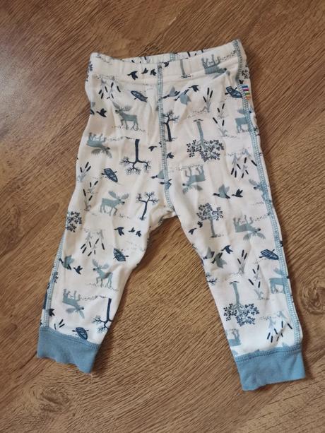 Joha merino leginy, 74