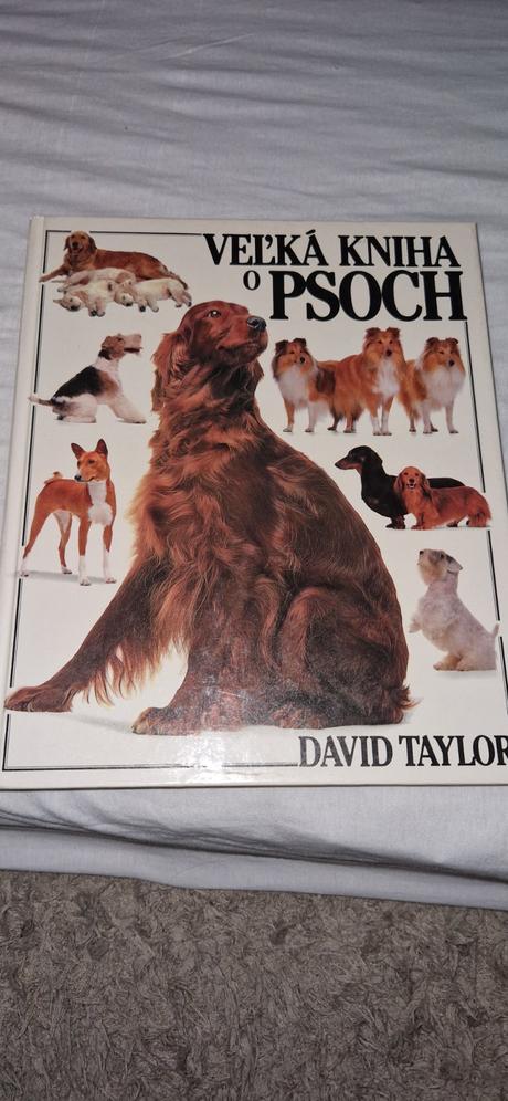 Veĺka kniha o psich, 