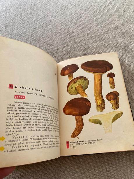 Vreckový atlas húb pilát ušák, 