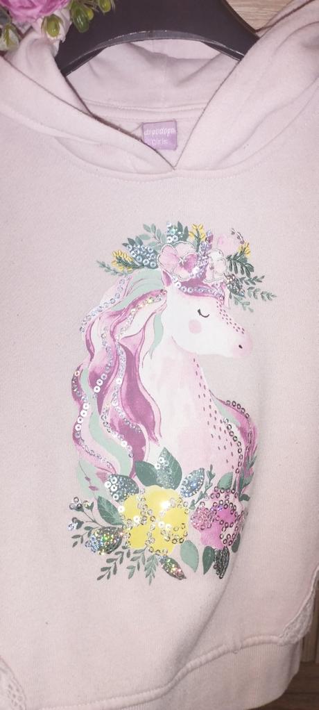 Nádherná mikina, dopodopo,110