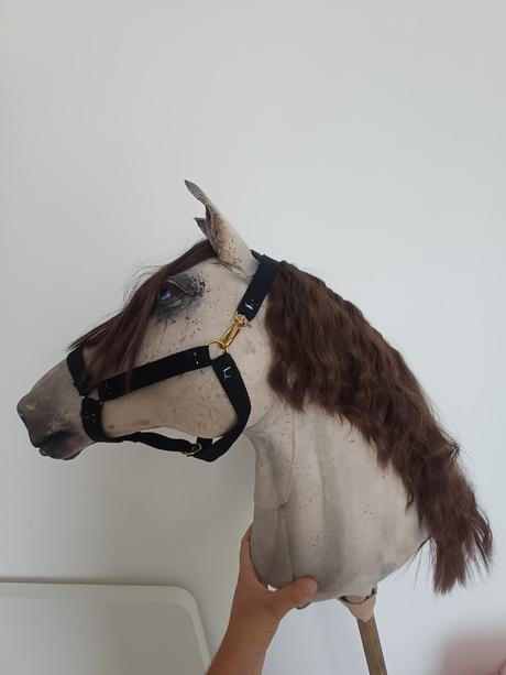 Hobby horse,