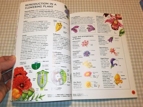 Usborne illustrated dictionary chemistry nau21, 