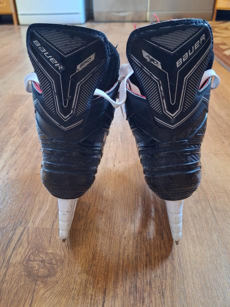 Korčule bauer, bauer,34