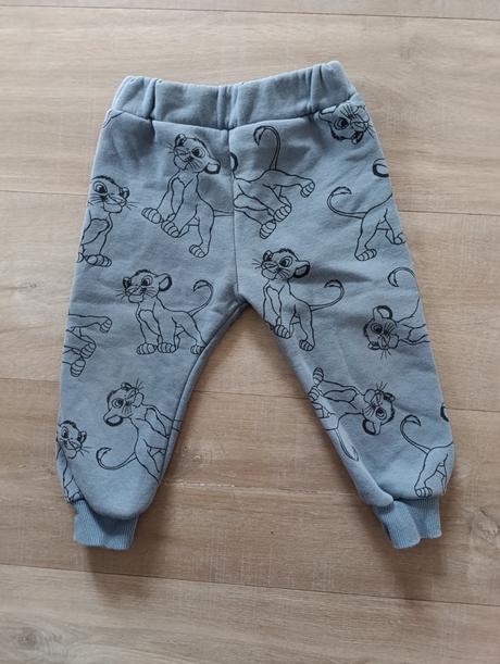 Súprava leví kráľ, 92