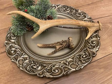 Parôžky - parožie, 