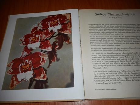 Im zauber der farbe,