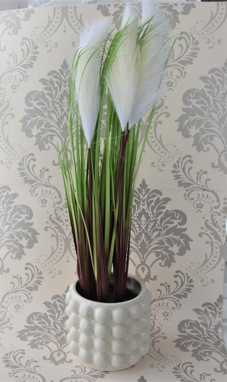 Pampová tráva v kvetináči-60cm,