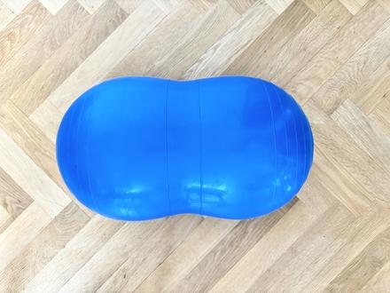 Gymnic physio roll 30cm fyzio lopta piskota predaj,