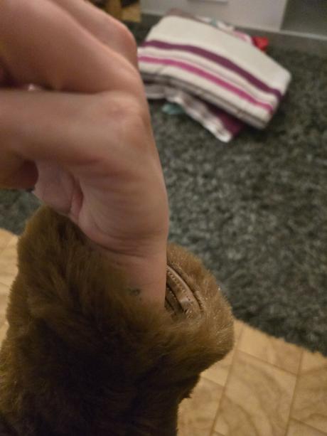 Hnedý kožúšok, s