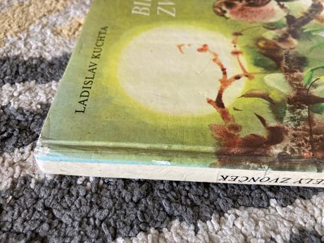 Biely zvonček-prvé vyd.1980, 