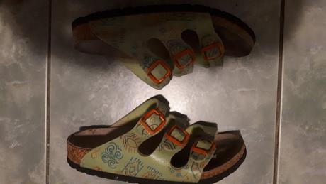 Slapky anatomicke, 31