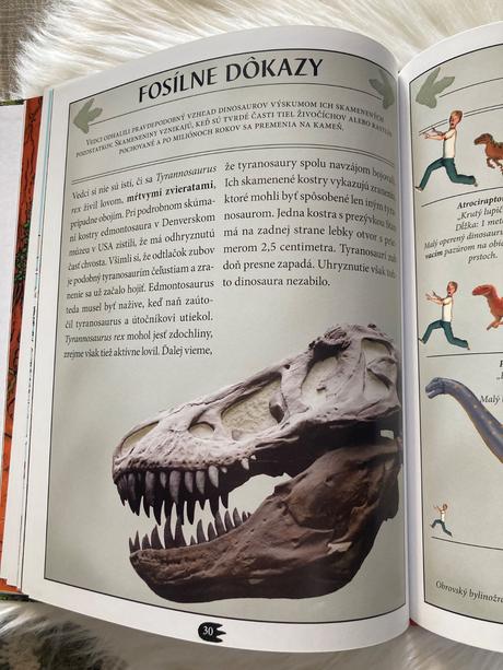 Tyrannosaurus tyranský jašter komiks,