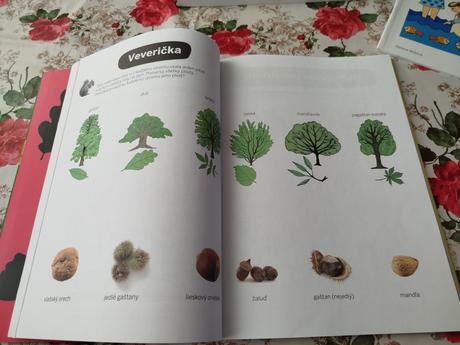 Montessori pracovne zosity,