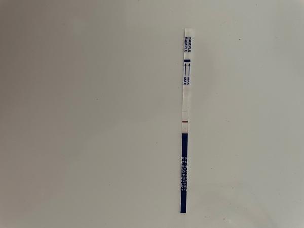 Včera so mala dostať menštruáciu. Som tehotná?