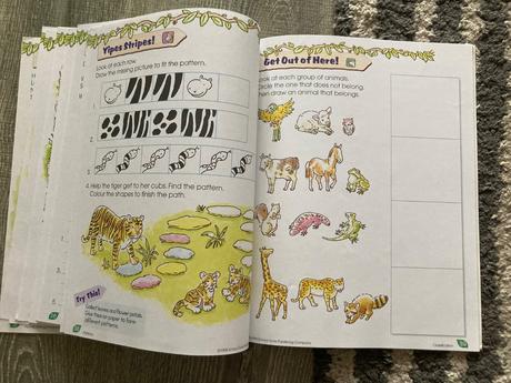 Second grade scholar-ages 6-8 work book,