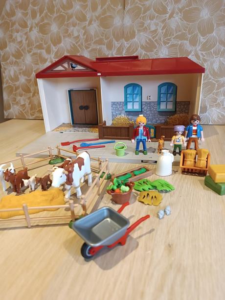 Playmobil 4897, 