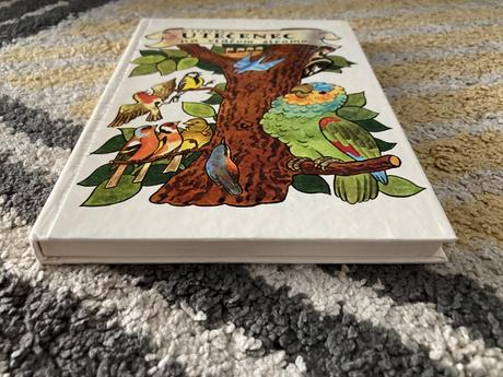 Utečenec na vtáčom strome (1982), 