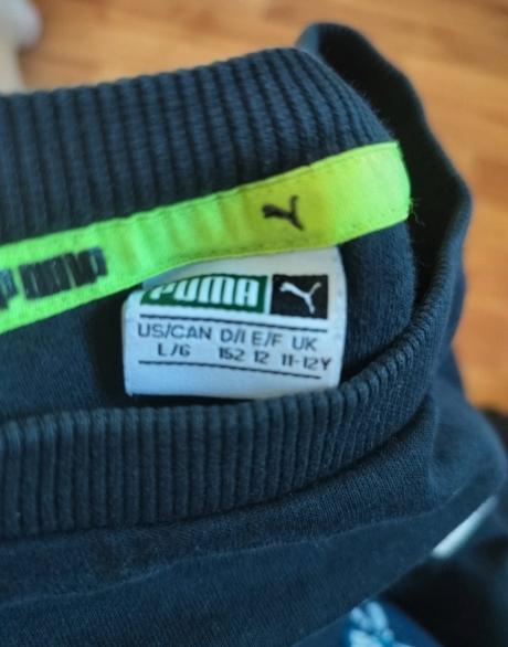 Mikinka puma, puma,152