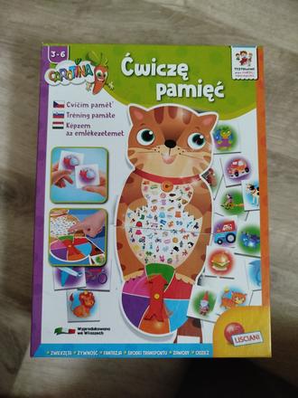 Pamäťová hra,