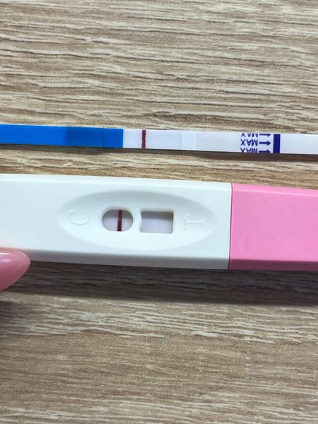 Môžem byť tehotná?