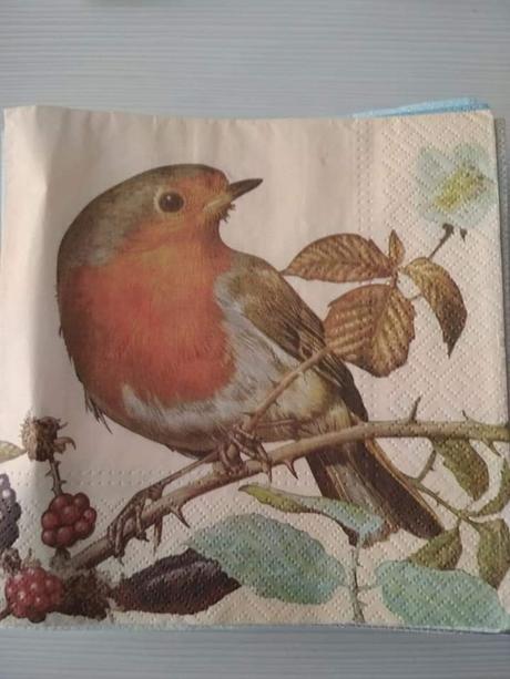 Servítky vtáčiky,