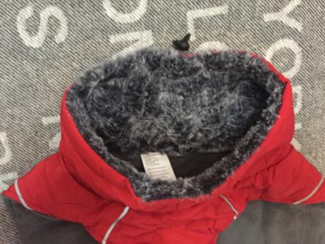 Bunda pre vacsieho psa, 