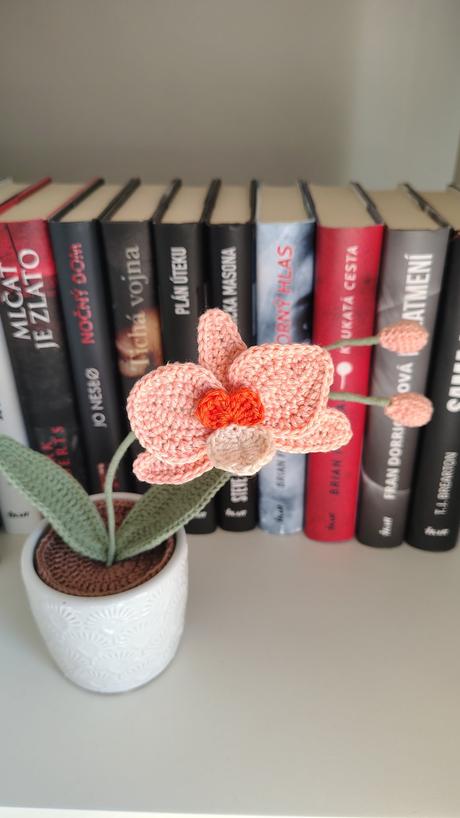 Háčkovaná orchidea, 