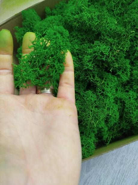 Stabilizovaný mach /lišajník 250g, 