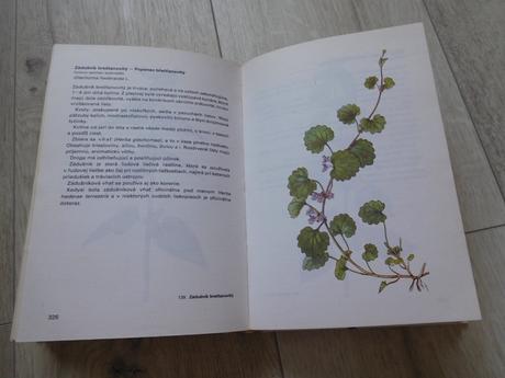 Atlas kiečivých rastlín -j.macku, j. krejča-1988,