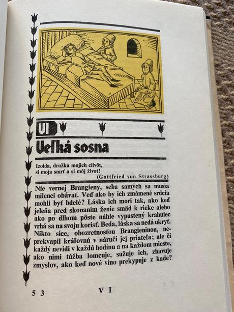 Stará retro kniha román o tristanovi a izolde,