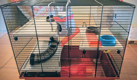 Klietka škrečok, morča, králik, 